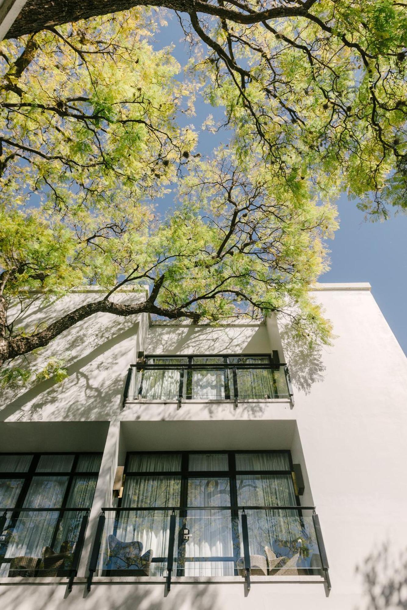 Hotel Matilda, A Member Of Design Hotels San Miguel de Allende Extérieur photo