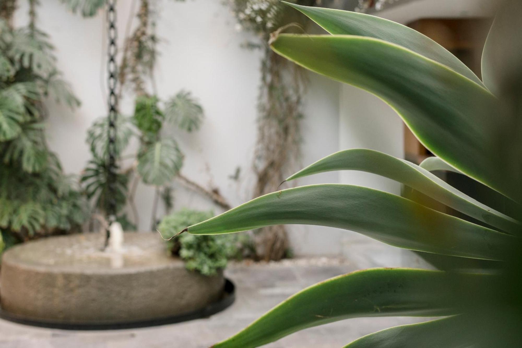 Hotel Matilda, A Member Of Design Hotels San Miguel de Allende Extérieur photo